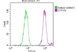 Flow Cytometry (FACS) image for anti-DEAD (Asp-Glu-Ala-Asp) Box Polypeptide 5 (DDX5) antibody (ABIN7127450)