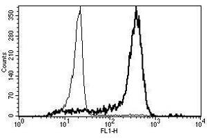 A typical staining pattern with the B-A8 monoclonal antibody of monocytes (CD14 抗体)