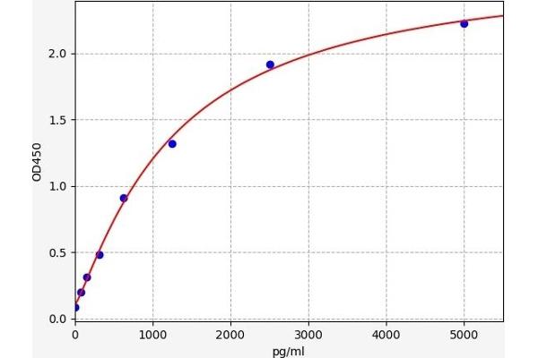 CBY1/PGEA1 ELISA 试剂盒