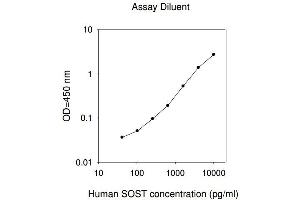 ELISA image for Sclerostin (SOST) ELISA Kit (ABIN2703466) (Sclerostin ELISA 试剂盒)