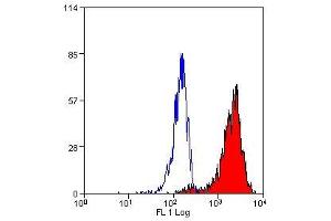 Flow Cytometry (FACS) image for anti-Lysosomal-Associated Membrane Protein 2 (LAMP2) antibody (ABIN2478101) (LAMP2 抗体)