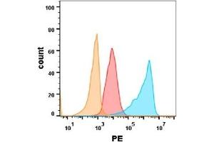 EGFR protein is highly expressed on the surface of Expi293 cell membrane. (EGFR 抗体  (AA 25-645))