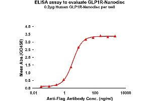 Elisa plates were pre-coated with Flag Tag R-Nanodisc (0. (GLP1R 蛋白)