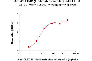 ELISA plate pre-coated by 2 μg/mL (100 μL/well) Human CC Protein, hFc Tag (ABIN7490945 and ABIN7490947) can bind Anti-CC (litifilimab biosimilar) mAb (ABIN7478040 and ABIN7491029) in a linear range of 0. (Recombinant CLEC4C (Litifilimab Biosimilar) 抗体)