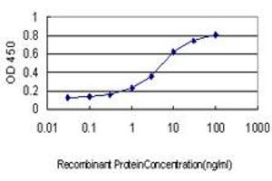 ELISA image for anti-RAB3B, Member RAS Oncogene Family (RAB3B) (AA 120-219) antibody (ABIN562557)