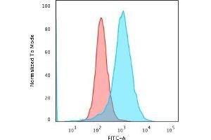 Flow Cytometric Analysis of PFA-fixed K562 cells using Nucleolin MAb (SPM614) followed by Goat anti-Mouse IgG-CF488 (Blue); Isotype Control (Red). (Nucleolin 抗体)