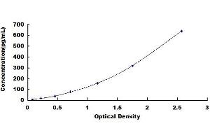 Typical standard curve (CCL2 ELISA 试剂盒)