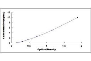 Typical standard curve (PARP4 ELISA 试剂盒)