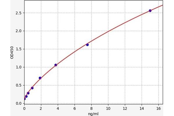 C-Peptide ELISA 试剂盒