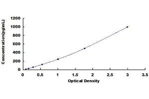 Typical Standard Curve (VEGF145 ELISA 试剂盒)