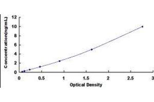 ELISA image for Glutathione S-Transferase omega 1 (GSTO1) ELISA Kit (ABIN415241) (GSTO1 ELISA 试剂盒)