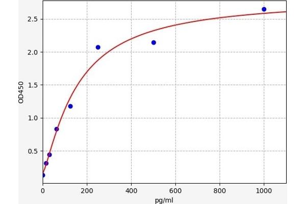 CYR61 ELISA 试剂盒