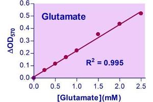 Biochemical Assay (BCA) image for Glutamate Assay Kit (ABIN1000311) (Glutamate Assay Kit)