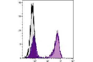 BALB/c mouse splenocytes were stained with Hamster Anti-Mouse CD79b-FITC. (CD79b 抗体)