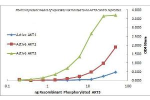 ELISA of Mouse Monoclonal anti-AKT3 antibody. (AKT3 抗体  (Internal Region) (FITC))