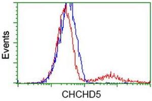 Image no. 2 for anti-Coiled-Coil-Helix-Coiled-Coil-Helix Domain Containing 5 (CHCHD5) antibody (ABIN1497489) (CHCHD5 抗体)