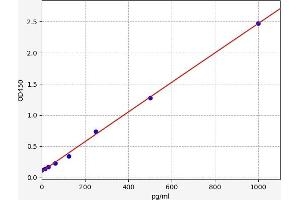 CALCB ELISA 试剂盒