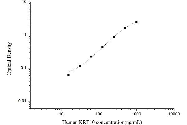 Keratin 10 ELISA 试剂盒