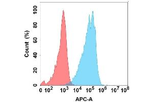 Flow cytometry analysis with Anti- on Expi293 cells transfected with human (Blue histogram) or Expi293 transfected with irrelevant protein (Red histogram). (BST1 抗体)