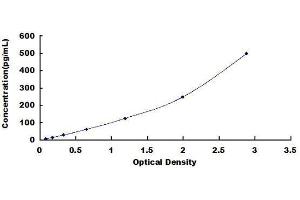 ELISA image for High Density Lipoprotein (HDL) ELISA Kit (ABIN1570218) (HDL ELISA 试剂盒)