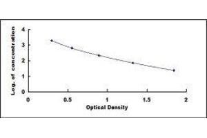 ELISA image for gamma-Aminobutyric Acid (GABA) ELISA Kit (ABIN1118057) (GABA ELISA 试剂盒)