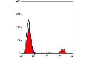 Flow Cytometry (FACS) image for anti-Killer Cell Lectin-Like Receptor Subfamily B, Member 1 (KLRB1) antibody (ABIN2478710) (CD161 抗体)