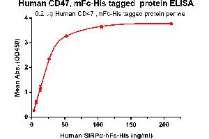 ELISA plate pre-coated by 2 μg/mL (100 μL/well) Human CD47, mFc-His tagged protein (ABIN6961081, ABIN7042191 and ABIN7042192) can bind its native ligand Human SIRPα, hFc-His tagged protein ABIN6961082, ABIN7042193 and ABIN7042194 in a linear range of 3. (CD47 Protein (CD47) (AA 19-141) (mFc-His Tag))