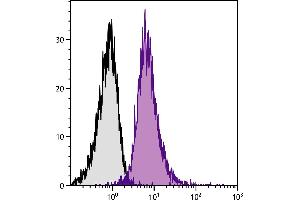 BALB/c mouse splenocytes were stained with Rat Anti-Mouse CD11a-PE/CY7. (ITGAL 抗体)