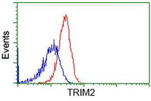 Flow cytometric Analysis of Hela cells, using anti-TRIM2 antibody (ABIN2453851), (Red), compared to a nonspecific negative control antibody, (Blue). (TRIM2 抗体  (AA 1-100, AA 645-744))