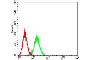 Flow cytometric analysis of Ramos cells using CD102 mouse mAb (green) and negative control (red). (ICAM2 抗体  (AA 25-223))