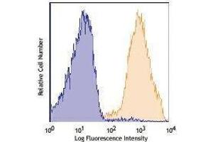 Flow Cytometry (FACS) image for anti-CD90/CD90.1 antibody (APC-Cy7) (ABIN2660713) (CD90/CD90.1 抗体 (APC-Cy7))