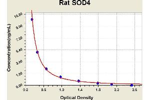 Diagramm of the ELISA kit to detect Rat SOD4with the optical density on the x-axis and the concentration on the y-axis. (Superoxide Dismutase 4, Copper Chaperone ELISA 试剂盒)