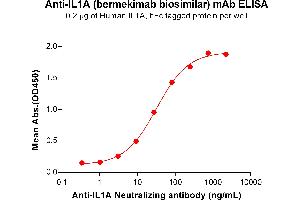 ELISA plate pre-coated by 2 μg/mL (100 μL/well) Human IL1A Protein, hFc Tag (ABIN6964364, ABIN7042809 and ABIN7042810) can bind Anti-IL1A Neutralizing antibody (ABIN7477996 and ABIN7490932) in a linear range of 3. (Recombinant IL1A (Bermekimab Biosimilar) 抗体)
