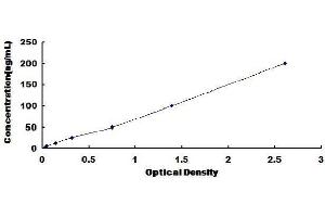 ELISA image for Coagulation Factor 13, B Polypeptide (F13B) ELISA Kit (ABIN1569668) (F13B ELISA 试剂盒)