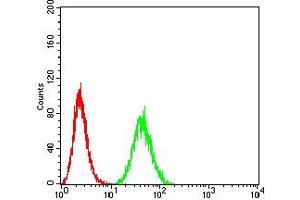 Flow cytometric analysis of Hela cells using B3GAT1 mouse mAb (green) and negative control (red). (CD57 抗体  (AA 193-334))