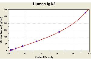 Diagramm of the ELISA kit to detect Human 1 gA2with the optical density on the x-axis and the concentration on the y-axis. (IgA2 ELISA 试剂盒)