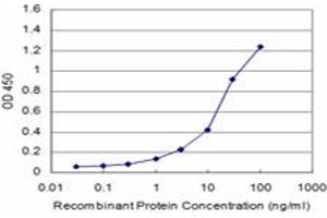 Detection limit for recombinant GST tagged CD34 is approximately 1ng/ml as a capture antibody. (CD34 抗体  (AA 32-141))