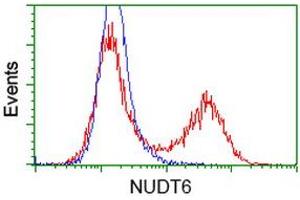 Flow Cytometry (FACS) image for anti-Nudix (Nucleoside Diphosphate Linked Moiety X)-Type Motif 6 (NUDT6) antibody (ABIN1499866) (NUDT6 抗体)