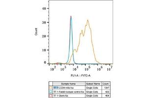 Flow cytometry: TF-1 cells were stained with Rabbit IgG isotype control (, 10 μg/mL, blue line) or CD34 Rabbit mAb (ABIN7266187, 10 μg/mL orange line), followed by FITC conjugated goat anti-Rabbit pAb (1:200 dilution) staining. (CD34 抗体)