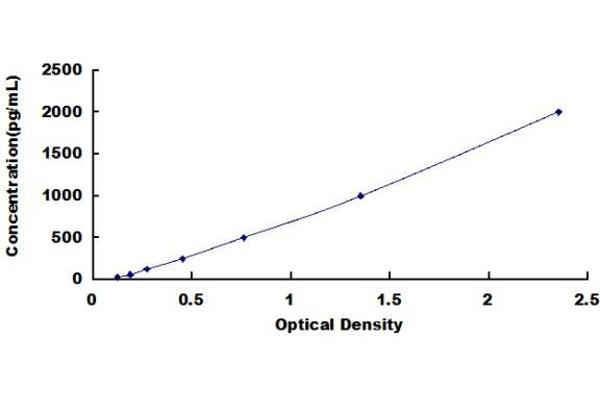 LRP8 ELISA 试剂盒