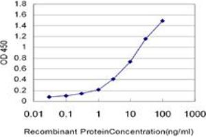 Detection limit for recombinant GST tagged KITLG is approximately 0. (KIT Ligand 抗体  (AA 26-135))