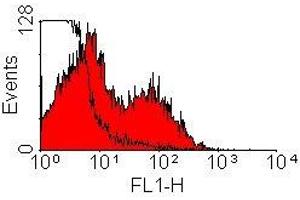 Flow Cytometry (FACS) image for Mouse anti-Rat Ig (Chain kappa), (Light Chain) antibody (HRP) (ABIN2475205) (小鼠 anti-大鼠 Ig (Chain kappa), (Light Chain) Antibody (HRP))