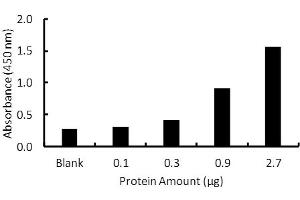 Activity Assay (AcA) image for Peroxisome Proliferator-Activated Receptor delta (PPARD) ELISA Kit (ABIN5690761)