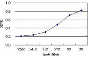 Sandwich ELISA detection sensitivity ranging from approximately 81x to 3x dilution of the KIF26A 293T overexpression lysate (non-denatured). (KIF26A (人) Matched Antibody Pair)