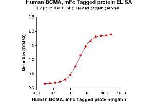 ELISA plate pre-coated by 2 μg/mL (100 μL/well) Human BAFF, hFc tagged protein ABIN6961113, ABIN7042255 and ABIN7042256 can bind Human BCMA, mFc tagged protein (ABIN6961108, ABIN7042245 and ABIN7042246) in a linear range of 0. (BCMA Protein (AA 1-54) (mFc Tag))