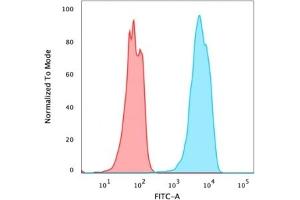 Flow Cytometry (FACS) image for anti-Forkhead Box A1 (FOXA1) (AA 372-472) antibody (ABIN6939657)