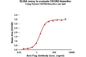 Elisa plates were pre-coated with Flag Tag C-Nanodisc (0. (CXCR2 蛋白)