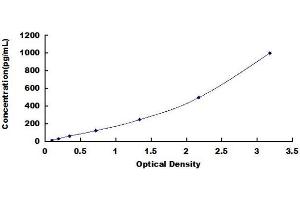 Typical standard curve (CRLF1 ELISA 试剂盒)