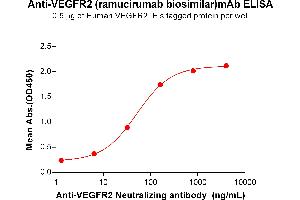 ELISA plate pre-coated by 5 μg/mL (100 μL/well) Human VE protein, His Tag ABIN6964112, ABIN7042479 and ABIN7042480 can bind Anti-VE Neutralizing antibody (ABIN7093076 and ABIN7272606) in a linear range of 6. (Recombinant VEGFR2 (Ramucirumab Biosimilar) 抗体)