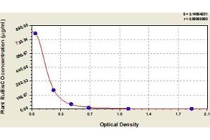 Typical Standard Curve (Ribulose-1,5-Bisphosphate Carboxylase/oxygenase(RuBisCO) ELISA 试剂盒)